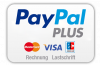 PayPal_Plus-100x65